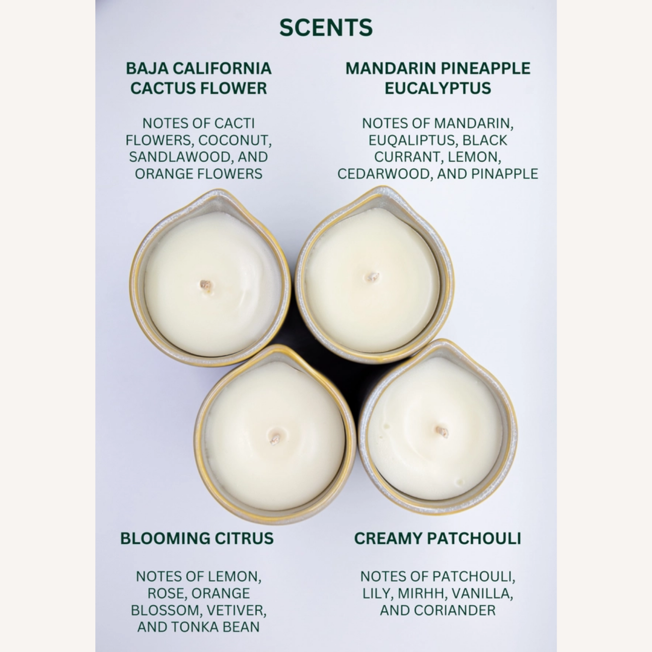 6oz Body Lotion Massage Candle | Serum Candle | Spa Candle