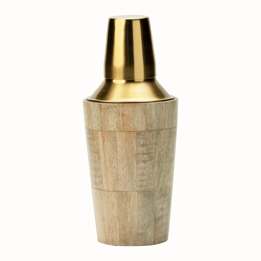 Orion Cocktail Shaker