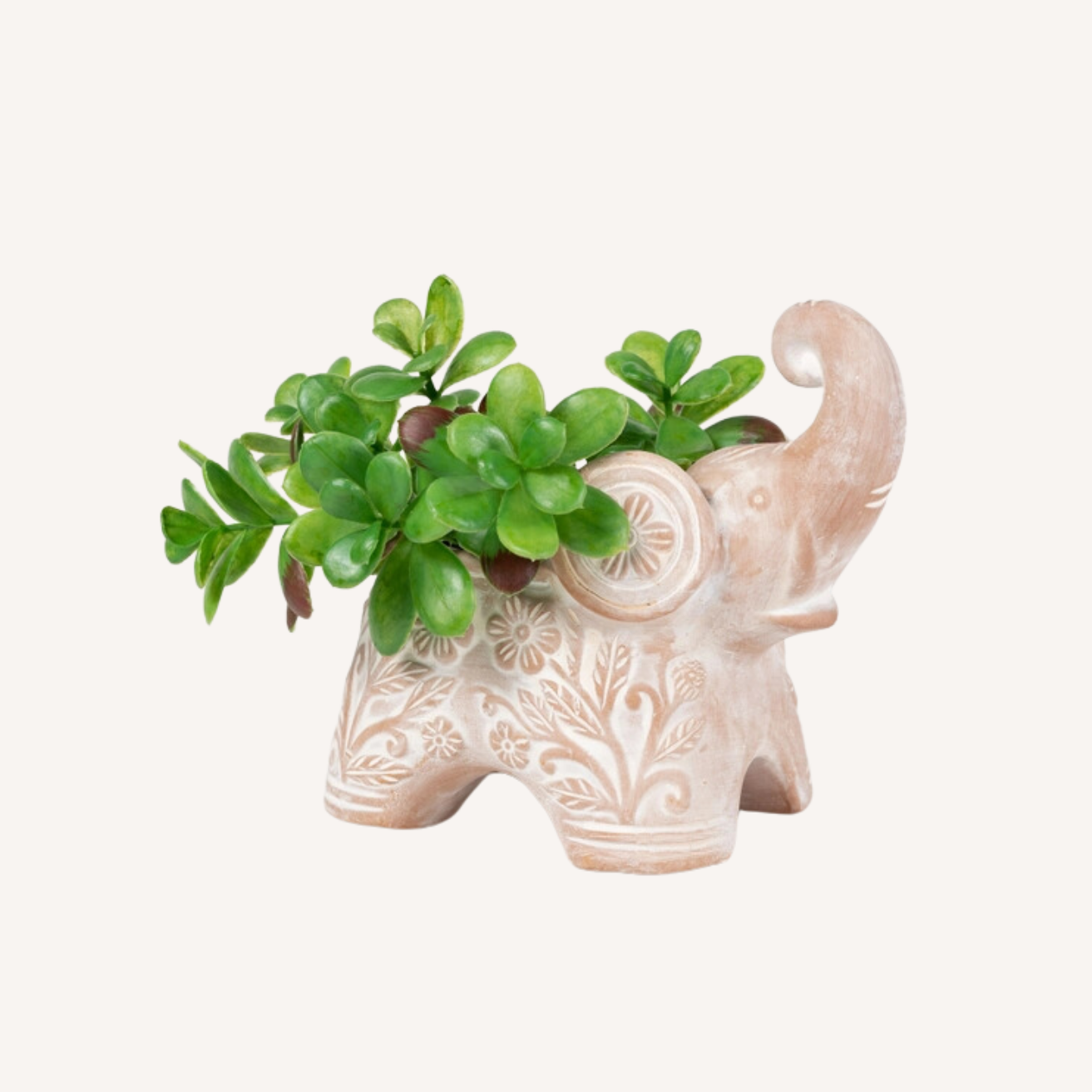 Trumpeting Elephant Planter