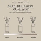Salt and Sea Reed Diffuser