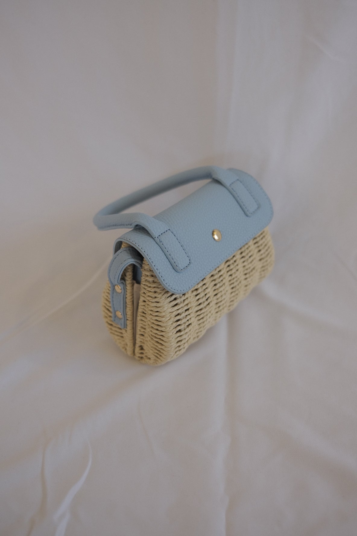 Raffia Paris Handbag