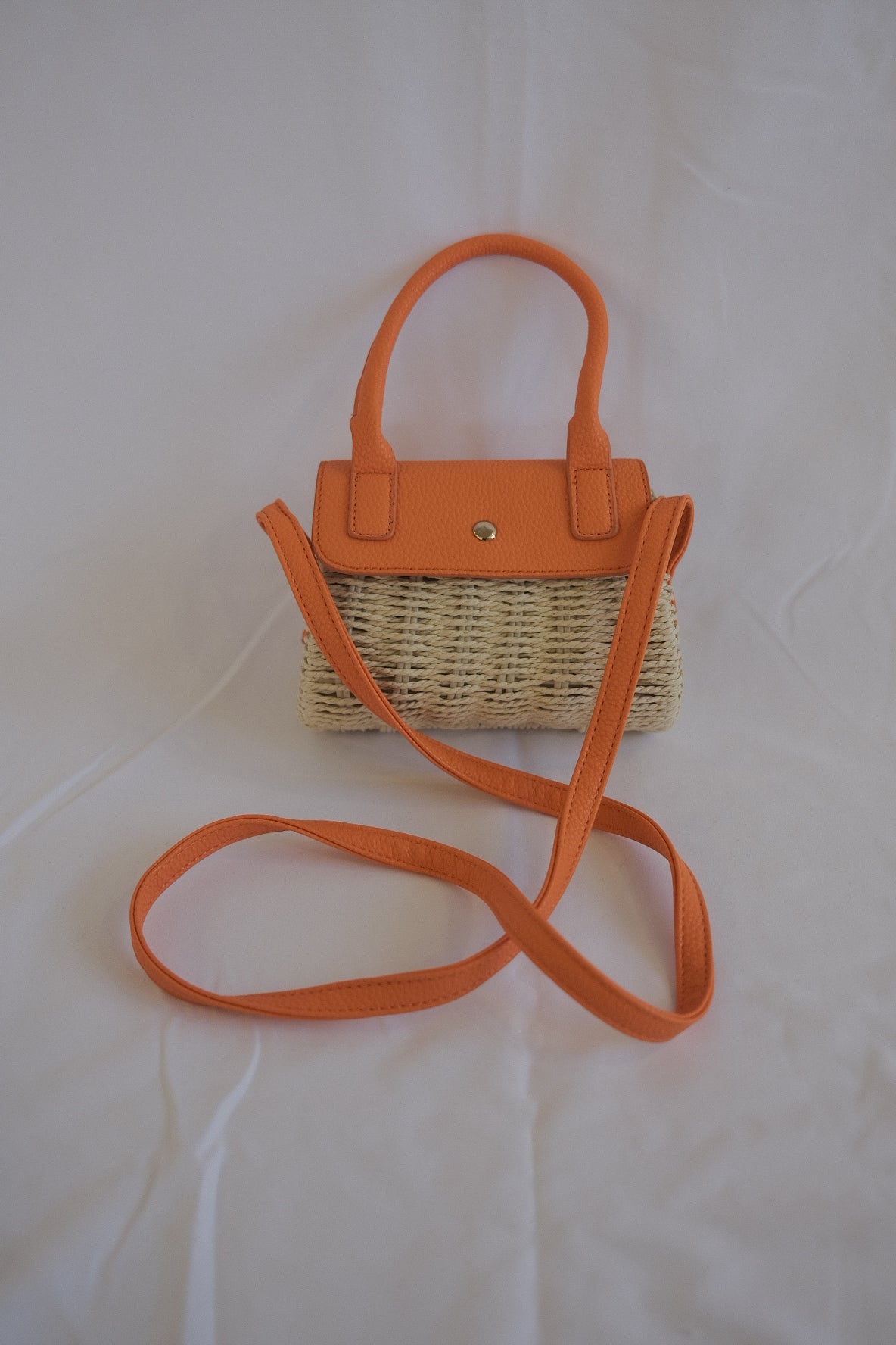 Raffia Paris Handbag