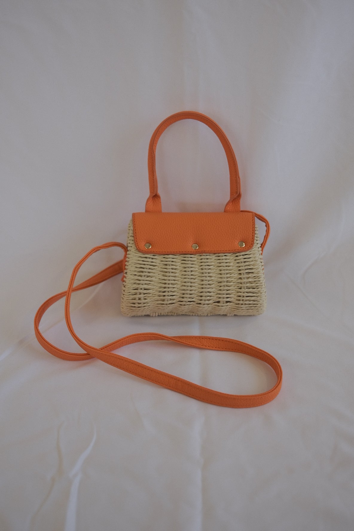 Raffia Paris Handbag