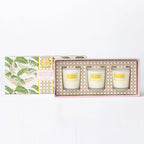 Natural Botanical 3 Piece Assorted Candle Boxed Set